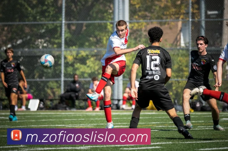 App Interface Preview